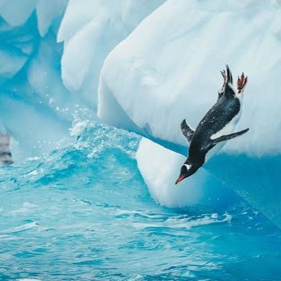 Plunge Patrol